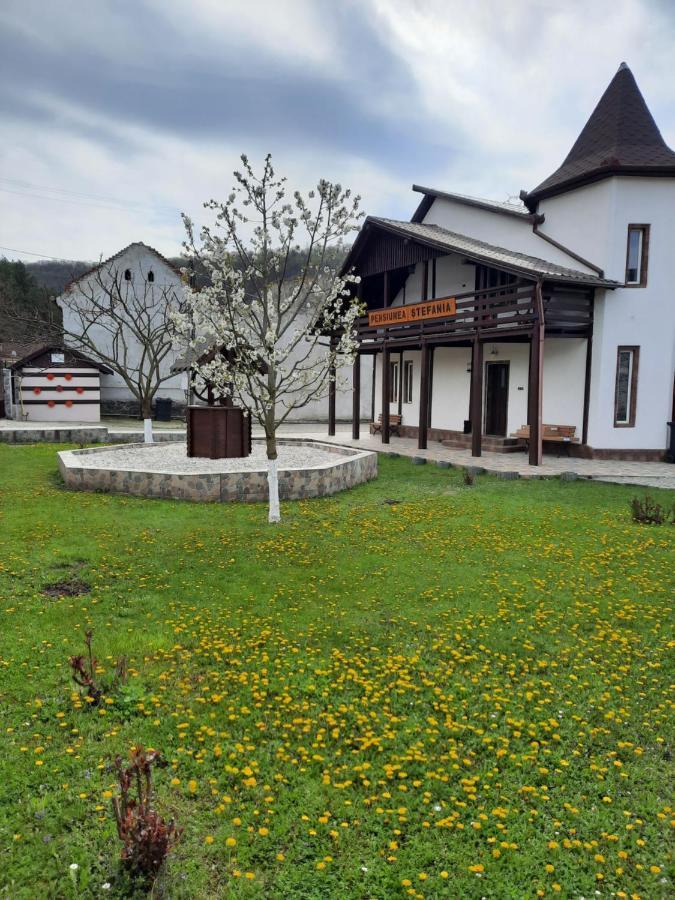 Pensiune Stefania Hunedoara Exterior photo